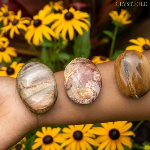 petrified wood crystal meaning